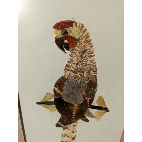 Vtg 70s Parrot Picture Handmade From Butterfly Wings African Art Framed W/Glass - Picture 3 of 10